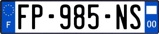 FP-985-NS