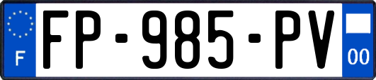 FP-985-PV