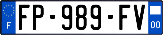 FP-989-FV