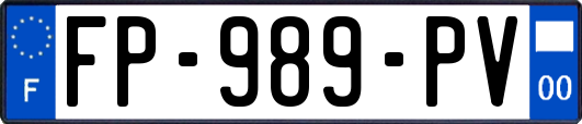 FP-989-PV