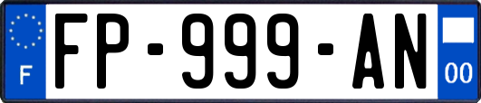 FP-999-AN