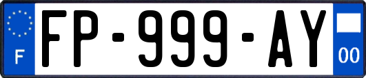 FP-999-AY