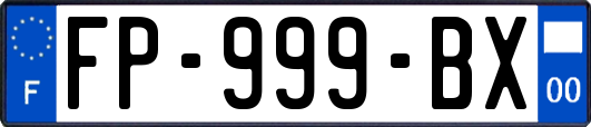 FP-999-BX