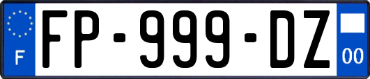 FP-999-DZ