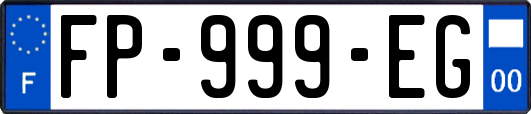 FP-999-EG