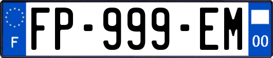 FP-999-EM