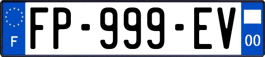 FP-999-EV