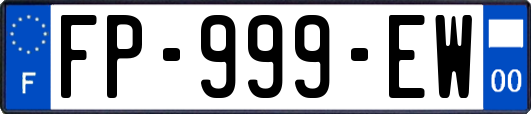 FP-999-EW