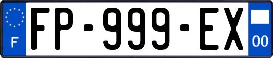 FP-999-EX