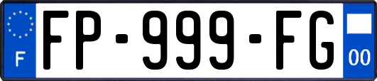 FP-999-FG