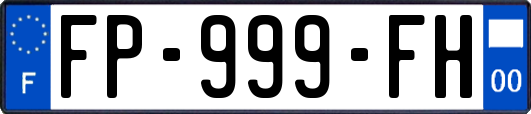 FP-999-FH