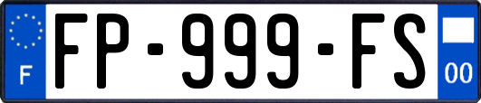 FP-999-FS