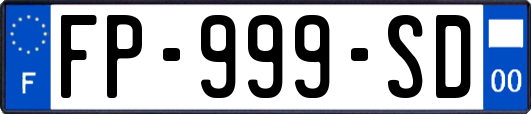 FP-999-SD