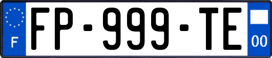 FP-999-TE