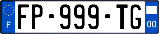 FP-999-TG