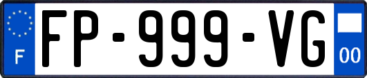 FP-999-VG