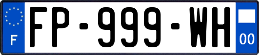 FP-999-WH