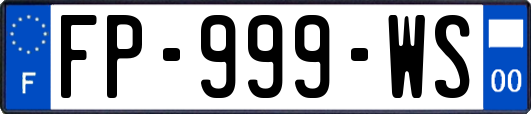 FP-999-WS
