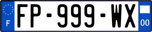 FP-999-WX