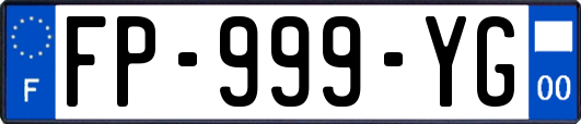 FP-999-YG