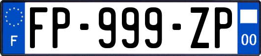 FP-999-ZP