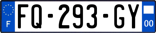 FQ-293-GY