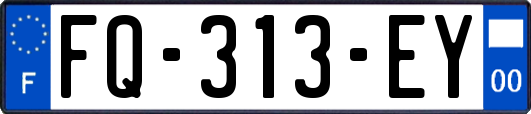 FQ-313-EY