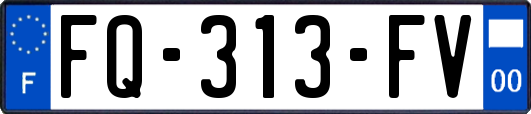 FQ-313-FV