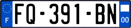 FQ-391-BN