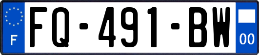 FQ-491-BW