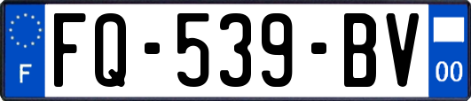 FQ-539-BV