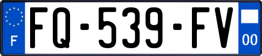 FQ-539-FV