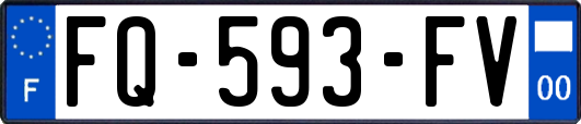 FQ-593-FV