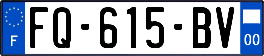 FQ-615-BV