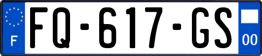 FQ-617-GS