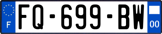 FQ-699-BW