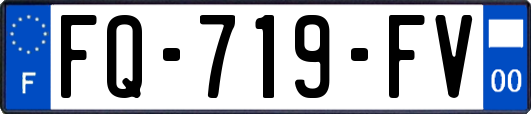 FQ-719-FV