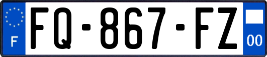 FQ-867-FZ