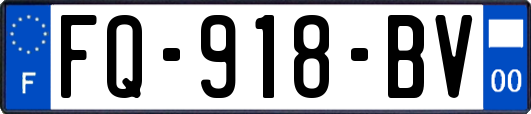 FQ-918-BV