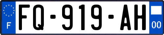 FQ-919-AH