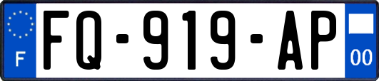 FQ-919-AP