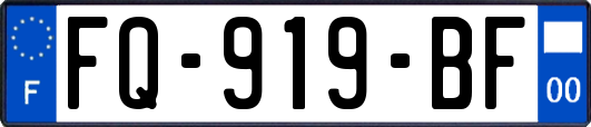 FQ-919-BF