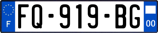 FQ-919-BG