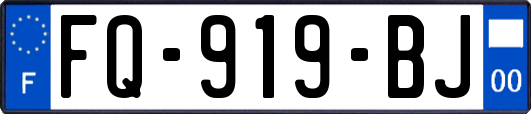 FQ-919-BJ