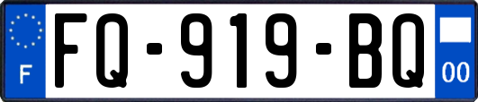 FQ-919-BQ