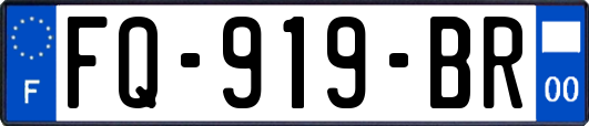 FQ-919-BR