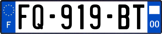 FQ-919-BT