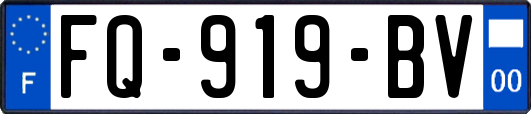 FQ-919-BV