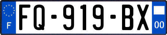 FQ-919-BX