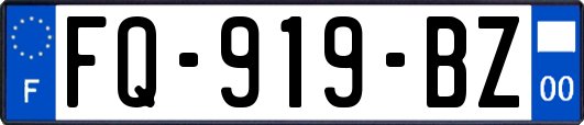 FQ-919-BZ